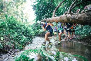 BIB: 
                            <button type="button" onclick="openModal(25444781)" class="btn btn-primary btn-sm float-right btn-popup" data-toggle="modal" data-target=".modal-high-quality">
                        <i class="fas fa-shopping-cart"></i> Add to Cart
                    </button>
                                            <button type="button" onclick="isThisMe(25444781, true)" class="btn btn-success btn-sm float-right btn-popup btn-isme hidden" data-toggle="tooltip" data-placement="bottom" title="นี่คือรูปของคุณใช่ไหม คลิกที่นี่เพื่อเอาเข้าอัลบั้ม">
                        <i class="fas fa-plus"></i> Add to album
                    </button>
                    <button type="button" onclick="isThisMe(25444781, false)" class="btn btn-warning btn-sm float-right btn-popup btn-isnotme hidden">
                        <i class="fas fa-ban"></i> Remove from album
                    </button>